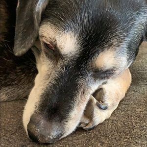 Meet your Posher, Adam